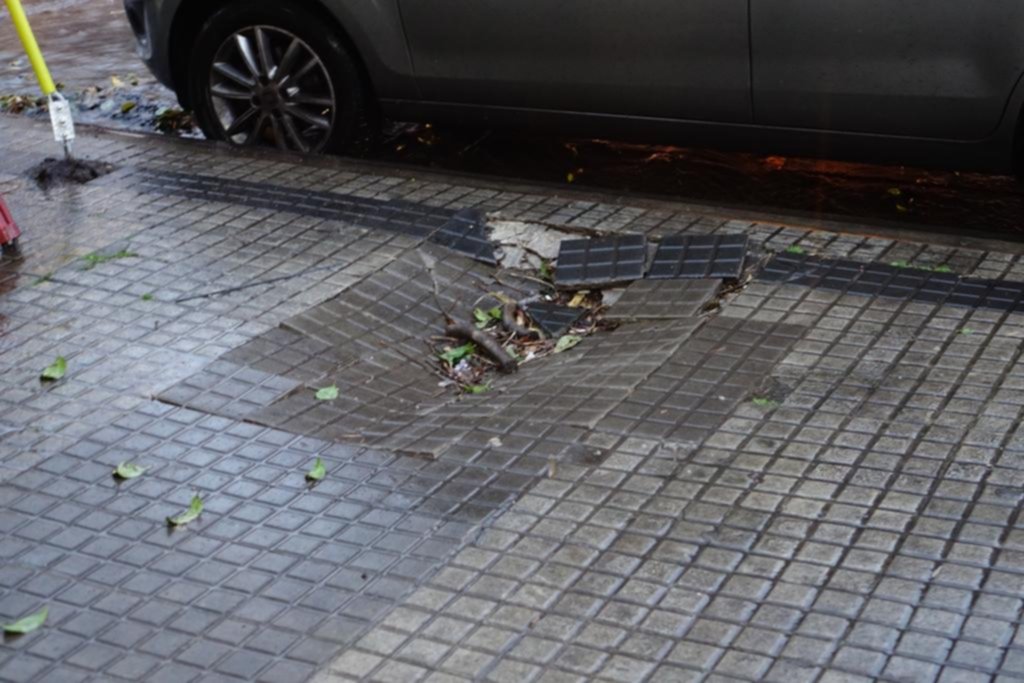 Una poda en La Loma dejó destruidas las veredas de 41 entre 19 y 20
