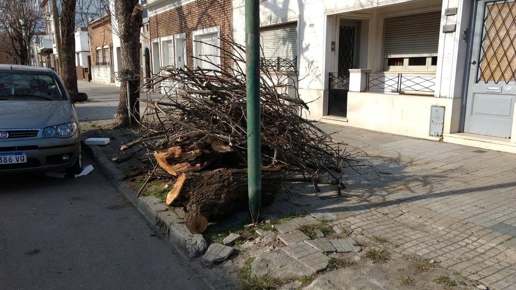 Vecinos piden el retiro de ramas de una vereda