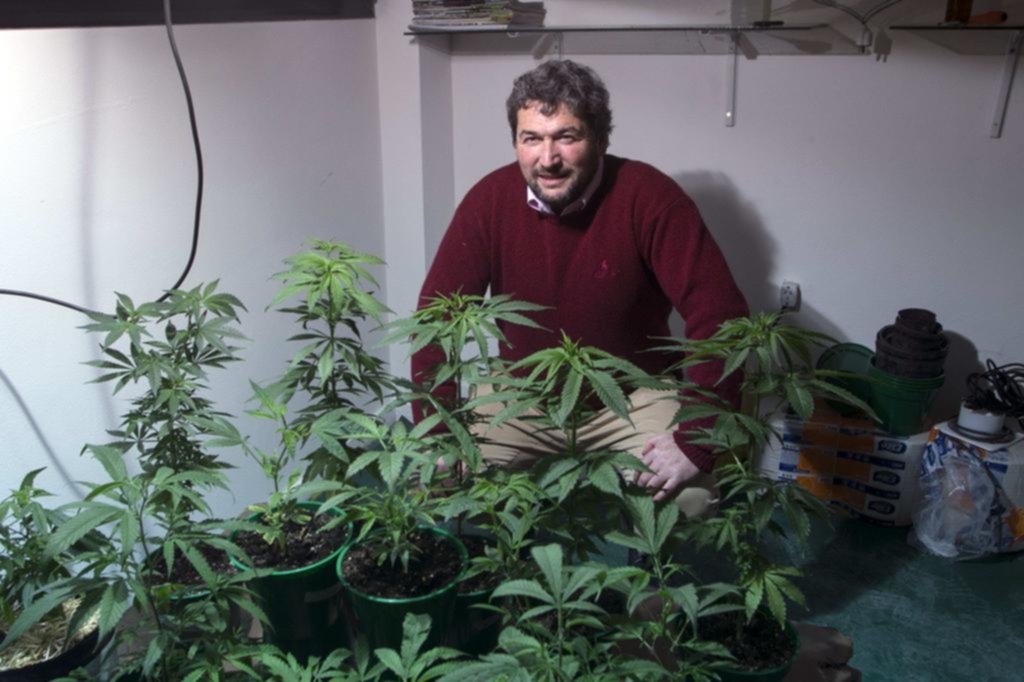 En la facultad de Ciencias Exactas se inauguró la plantación de marihuana