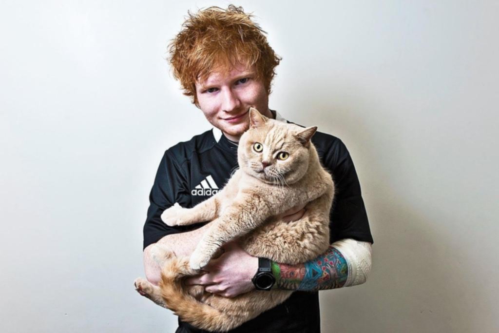 Ed Sheeran con el corazón roto por la muerte de su gatito