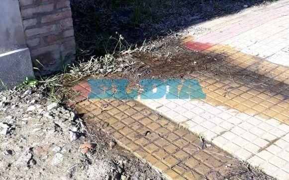 Queja por "tremenda" filtración en 62, 29 y 30