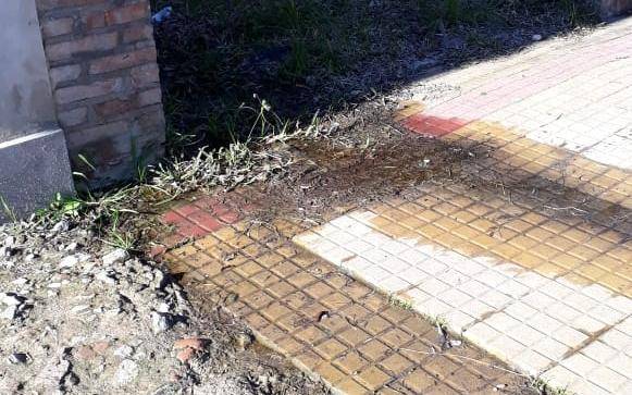 Pérdida de agua deja sin servicio a vecinos de 62 y 29