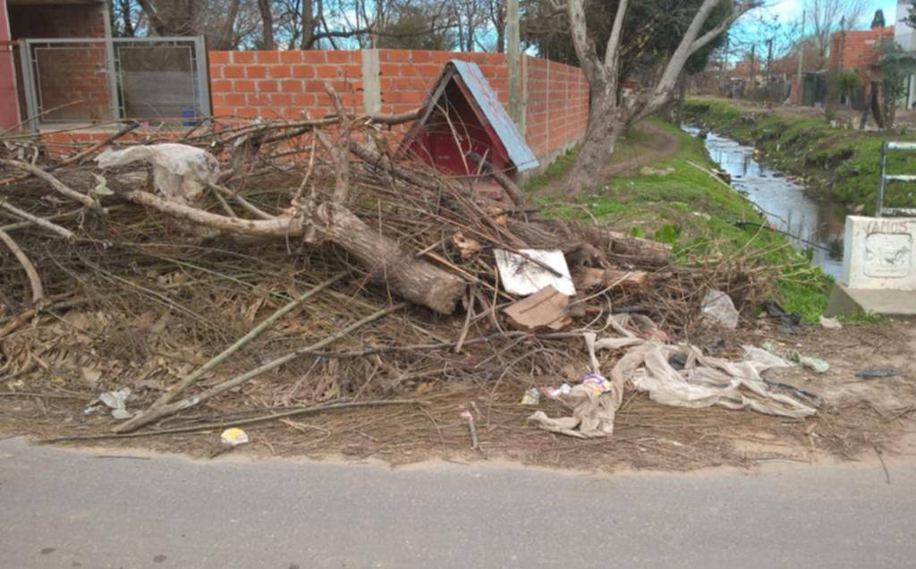 Una montaña de basura que no deja circular en San Carlos