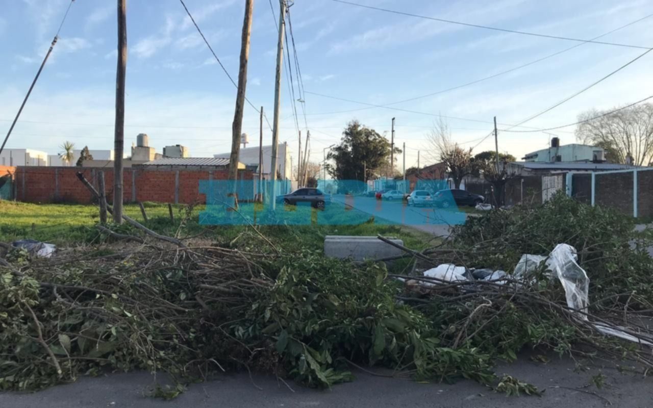 Ramas y bolsas obstruyen el paso en 144 y 42
