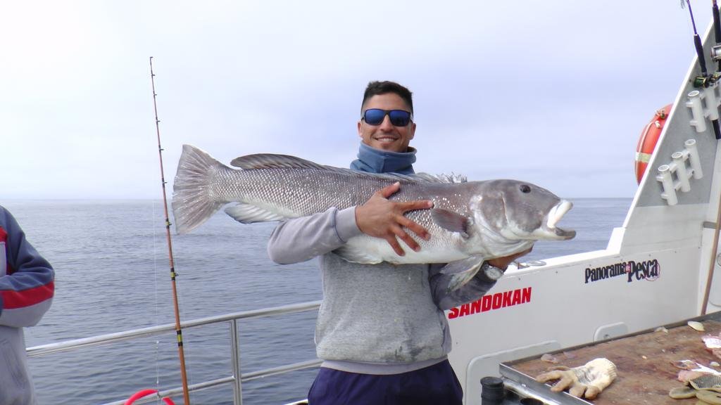 En Mar del Plata, pesca de altura con capturas de salmones, meros y chernias