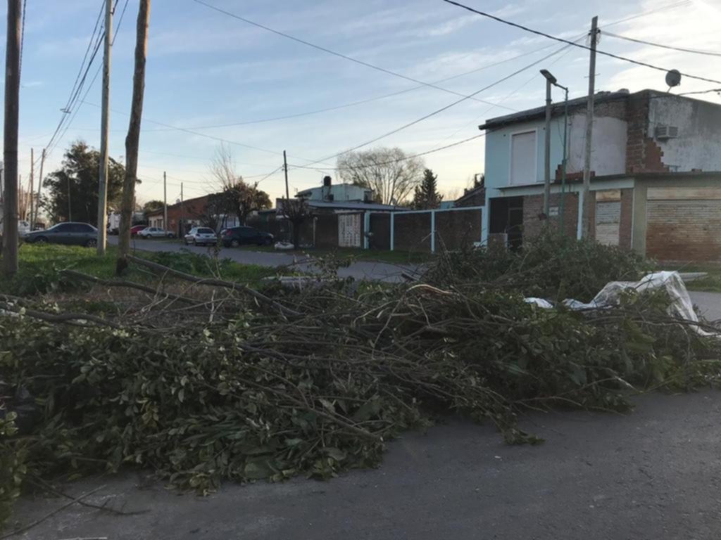 Ramas y bolsas obstruyen el paso en 144 y 42