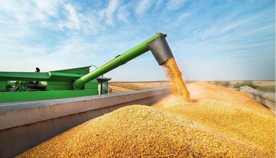 Argentina quedó afuera del top ten en el ránking de los exportadores agrícolas