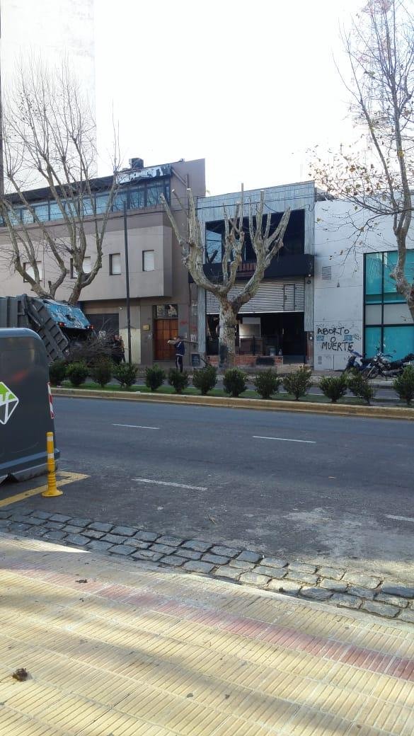 Quejas por una poda en pleno centro de la Ciudad