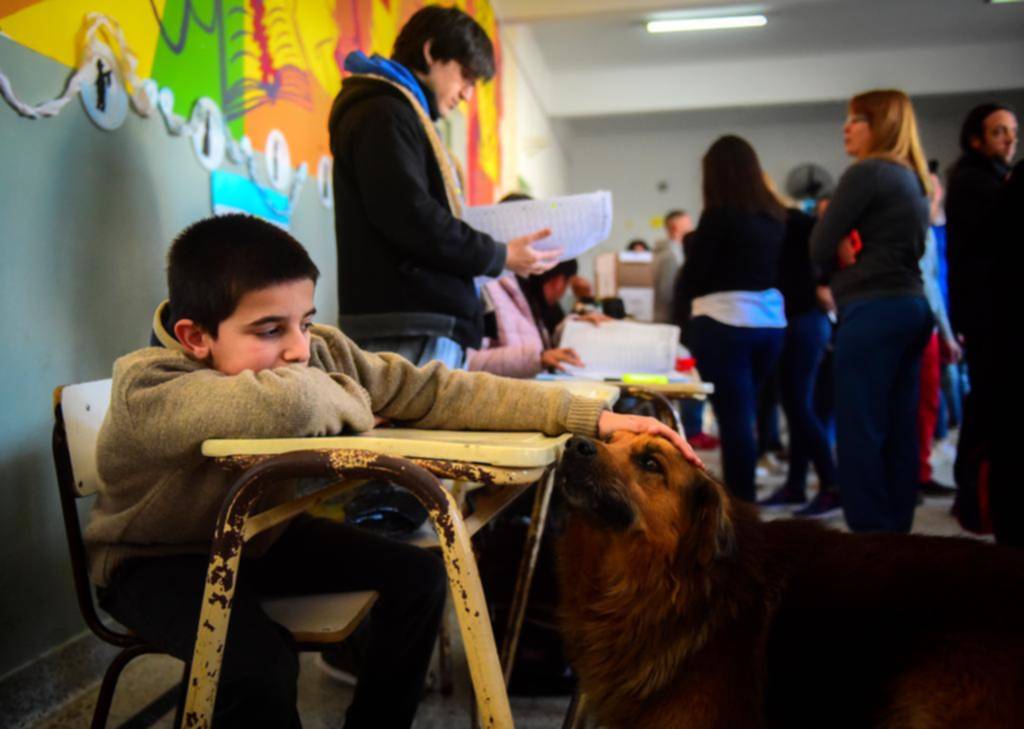 El perro Rocky conmovió a una escuela de Romero