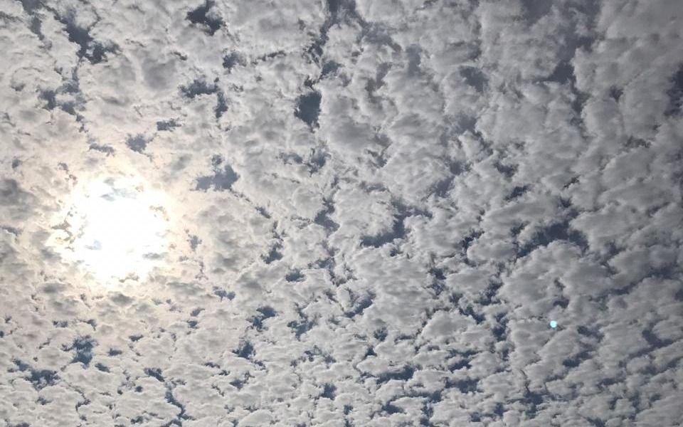 Cabezas arriba en La Plata: el extraño efecto del cielo platense
