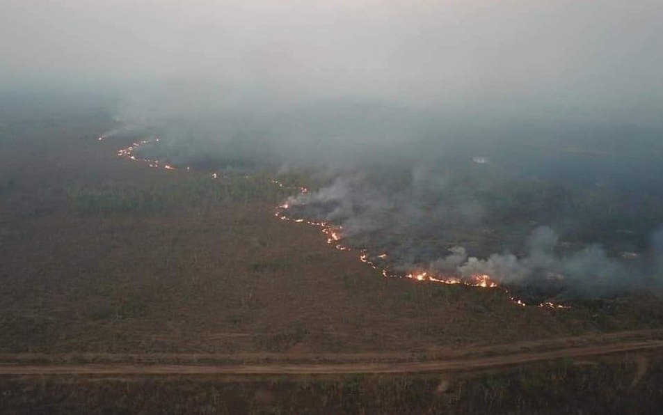 Aumentan los incendios forestales en el Amazonas por la deforestación y la sequia