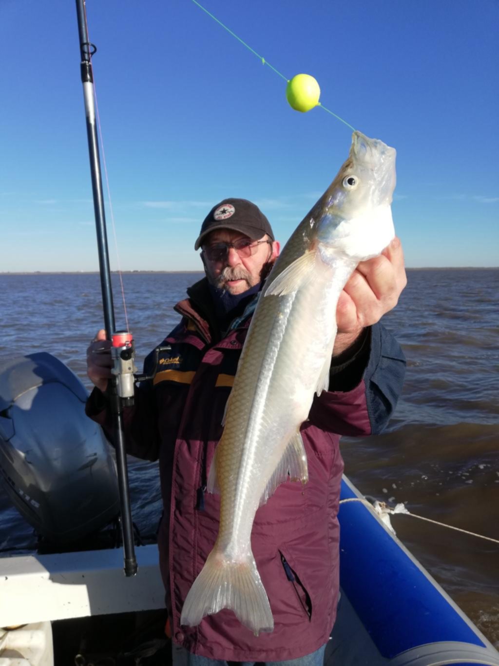 La pesca de grandes matungos es moneda corriente en la zona de “Playa Honda” del Río de la Plata