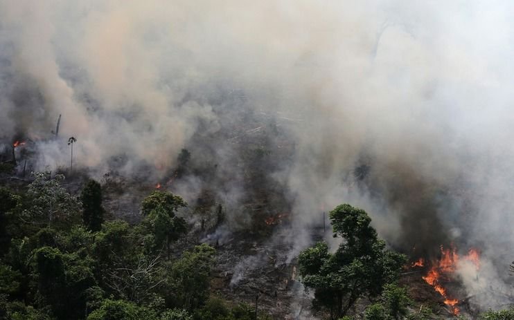 Claves para entender por qué el Amazonas es el llamado "pulmón verde" del mundo