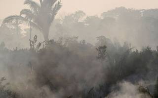 "Es probable " que llegue hasta La Plata el humo del incendio en el Amazonas