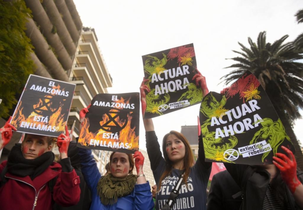 Ambientalistas se manifestaron frente a la embajada de Brasil en Retiro