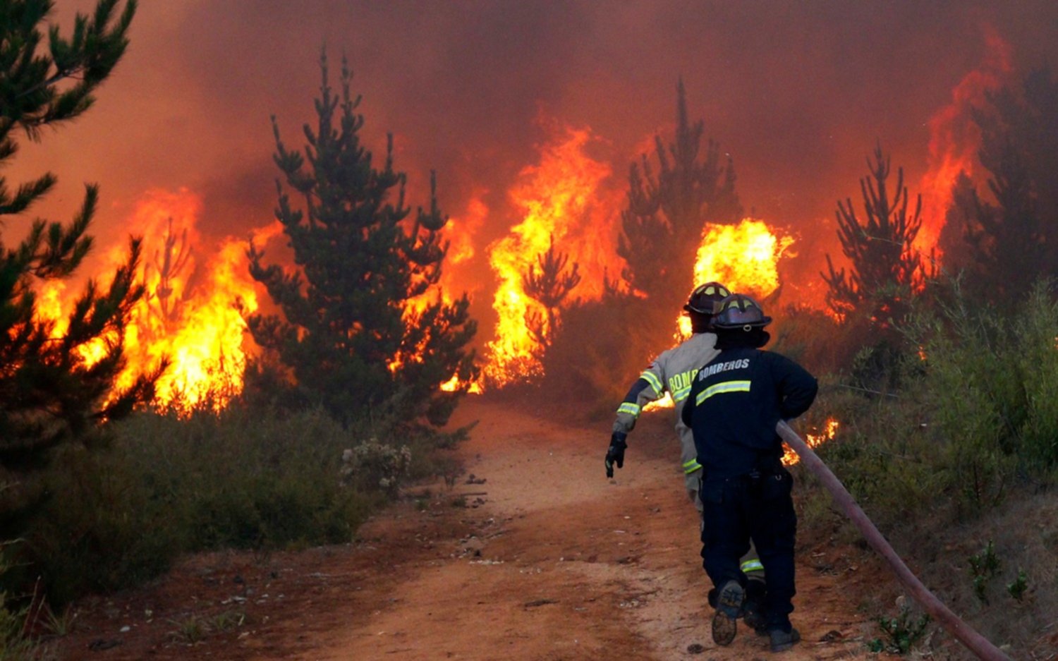 Brigadistas argentinos podrían viajar a Brasil para combatir el incendio en Amazonia
