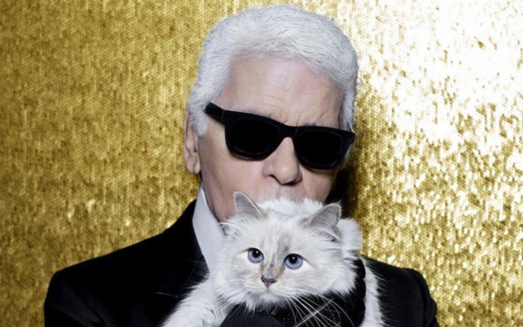 En guerra por Choupette: dos mujeres pelean por las fotos de la gata de Lagerfeld
