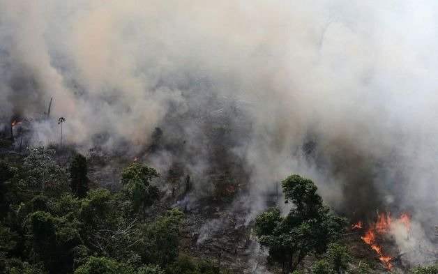 Bomberos argentinos viajarán para combatir los incendios en la Amazonia