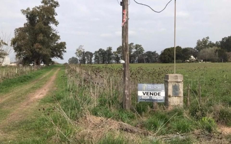 Cayó un 6,5 por ciento la actividad del mercado inmobiliario rural