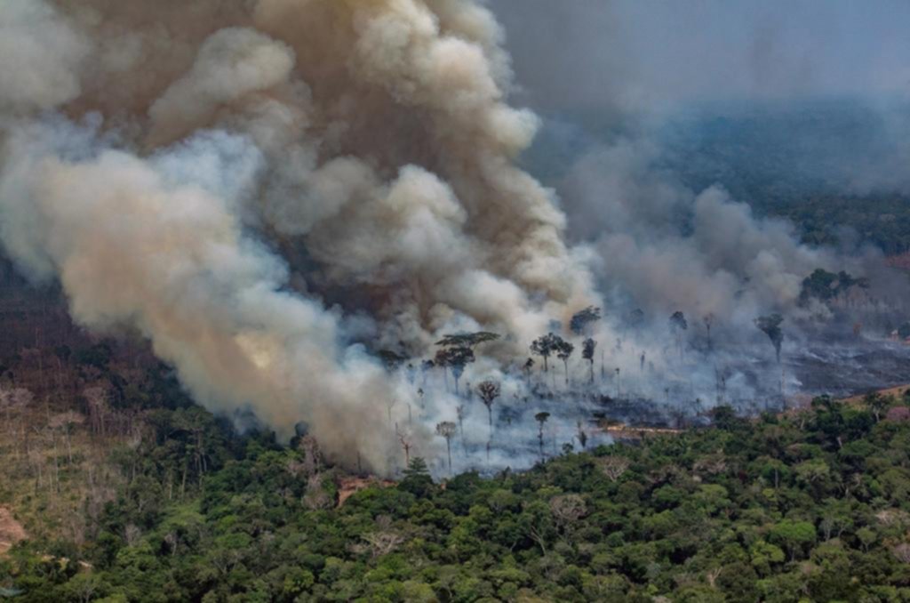 El G7 enviará aviones a luchar contra el fuego en el Amazonas