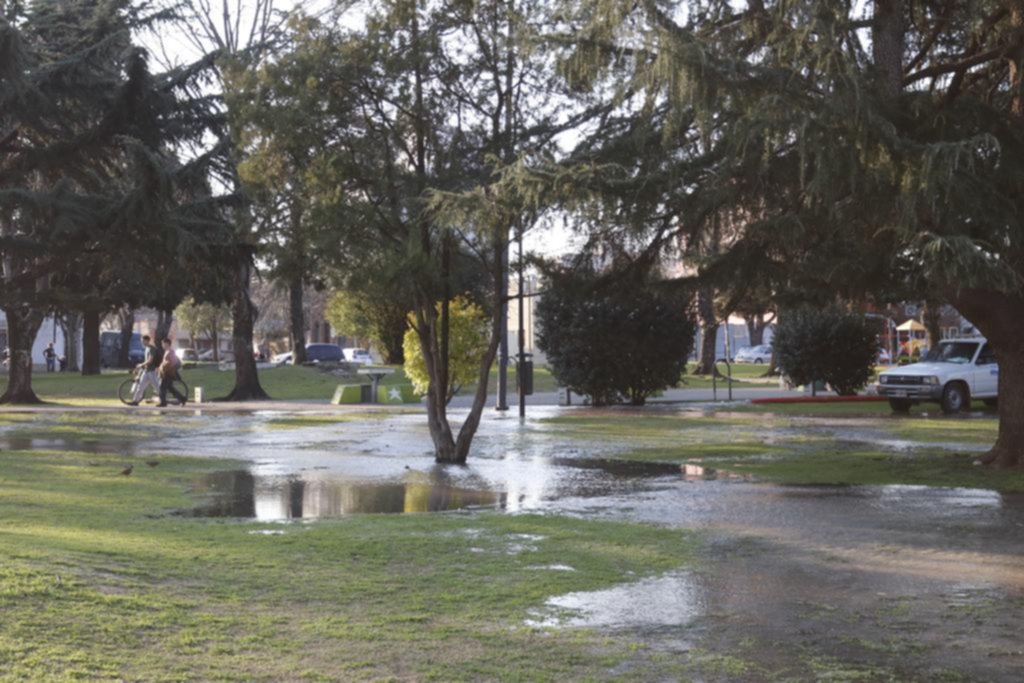 La pesadilla de encarar la vida diaria sin una gota de agua durante dos semanas