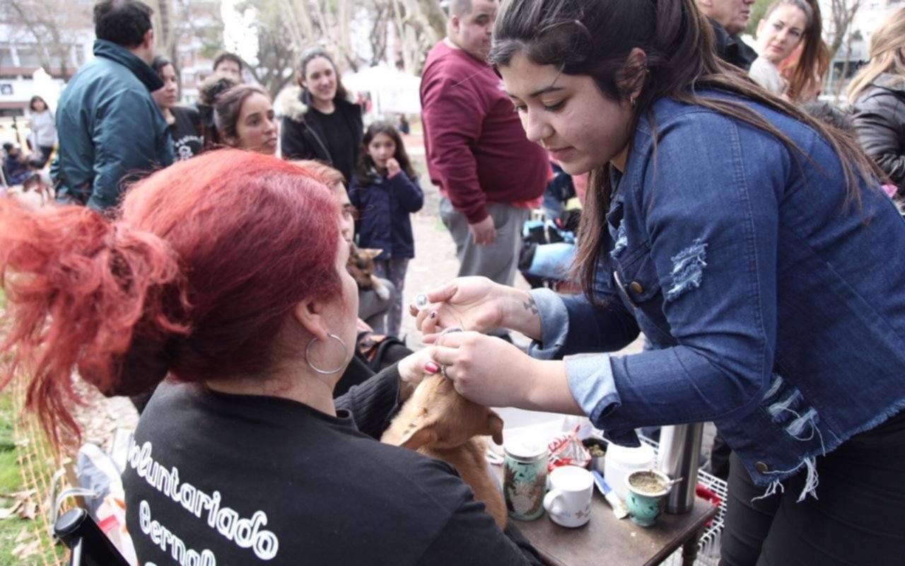 Se realizó una nueva edición del Festival Mascotero