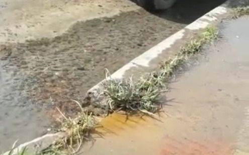 "La vereda se está hundiendo", el desesperado reclamo de una vecina de 122 y 76