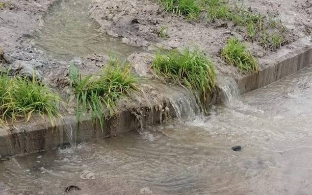 En 133 y 34 denuncian que hace más de 20 días hay un desborde cloacal