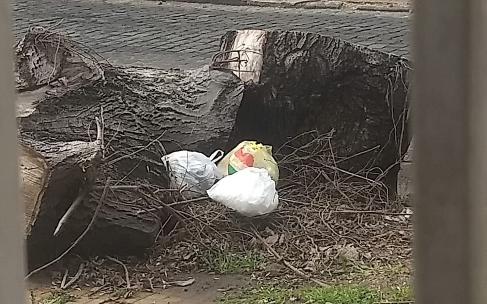 Les cortaron un árbol pero no lo sacaron y ahora arrojan basura