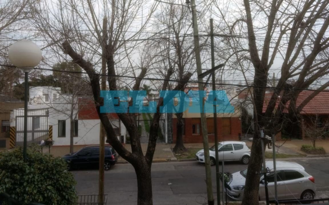 Contacto con cables, inseguridad y mugre: desde distintos sectores reclaman podas inmediatas