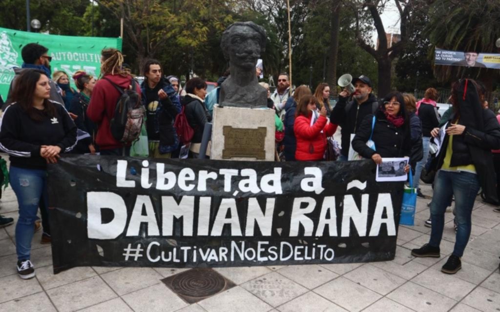 Autocultivo: avance en los Tribunales y debate abierto