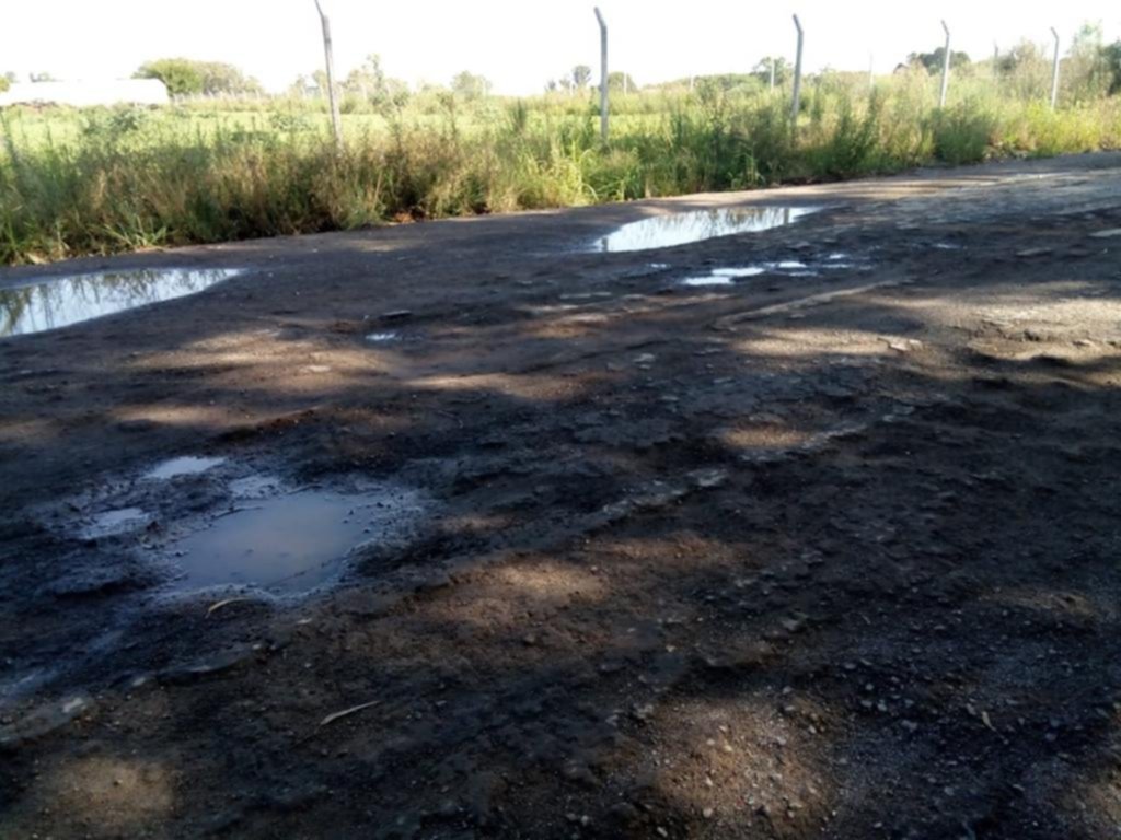 Clave para el sector hortícola, crece el reclamo por el pésimo estado de calle 600 de 137 a 155