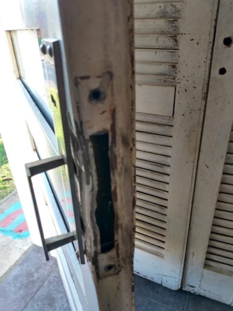Ahora le entraron a robar a la fundadora de La casa del árbol