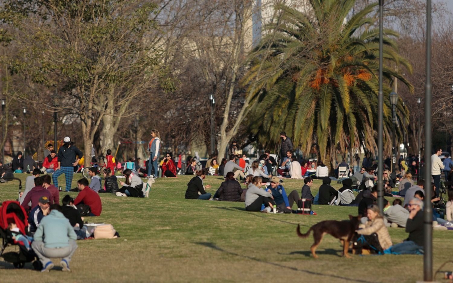 Un feriado a pleno sol: se espera una tarde templada