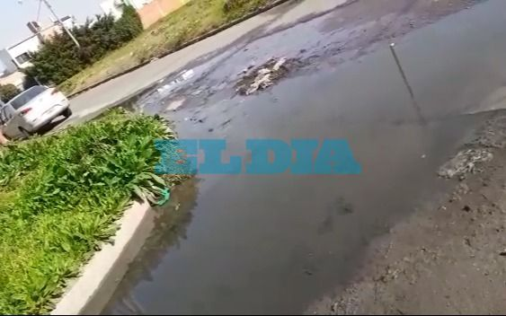 Reclamo por un desborde cloacal en 119 y 83: "¿Cuánto más tendremos que aguantar"