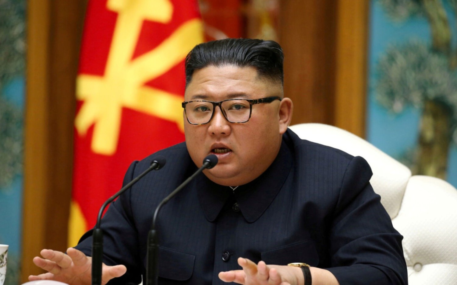 En Corea del Norte se prohibieron los perros como mascota por ser un símbolo de la "decadencia capitalista"