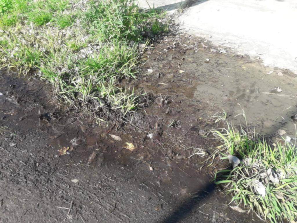 En 527 y 26 lo que se derrocha en la calle falta en los hogares
