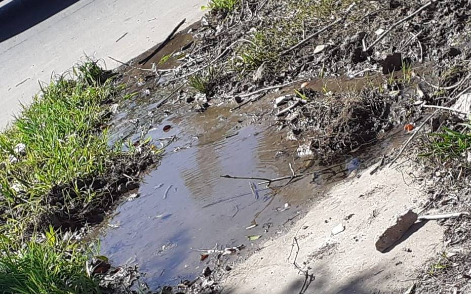 Desesperación vecinal en sector de Los Hornos  por los problemas con el servicio del agua
