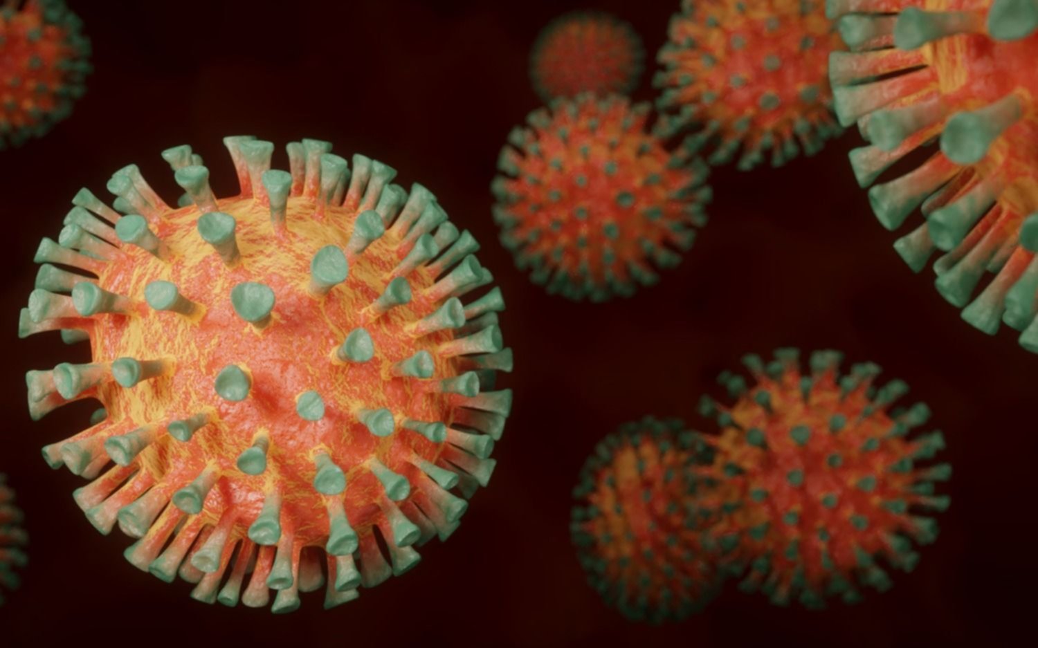 Científicos de la UNLP lograron un nuevo descubrimiento sobre el coronavirus