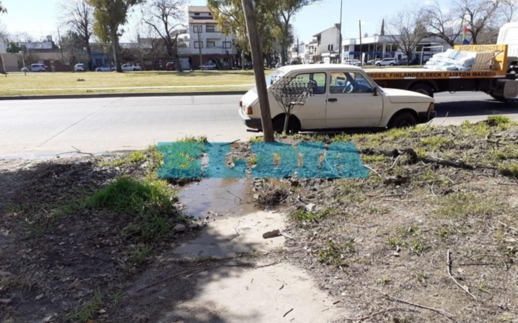 Una implacable pérdida de agua tiene a mal traer a los vecinos de 131, entre 50 y 52