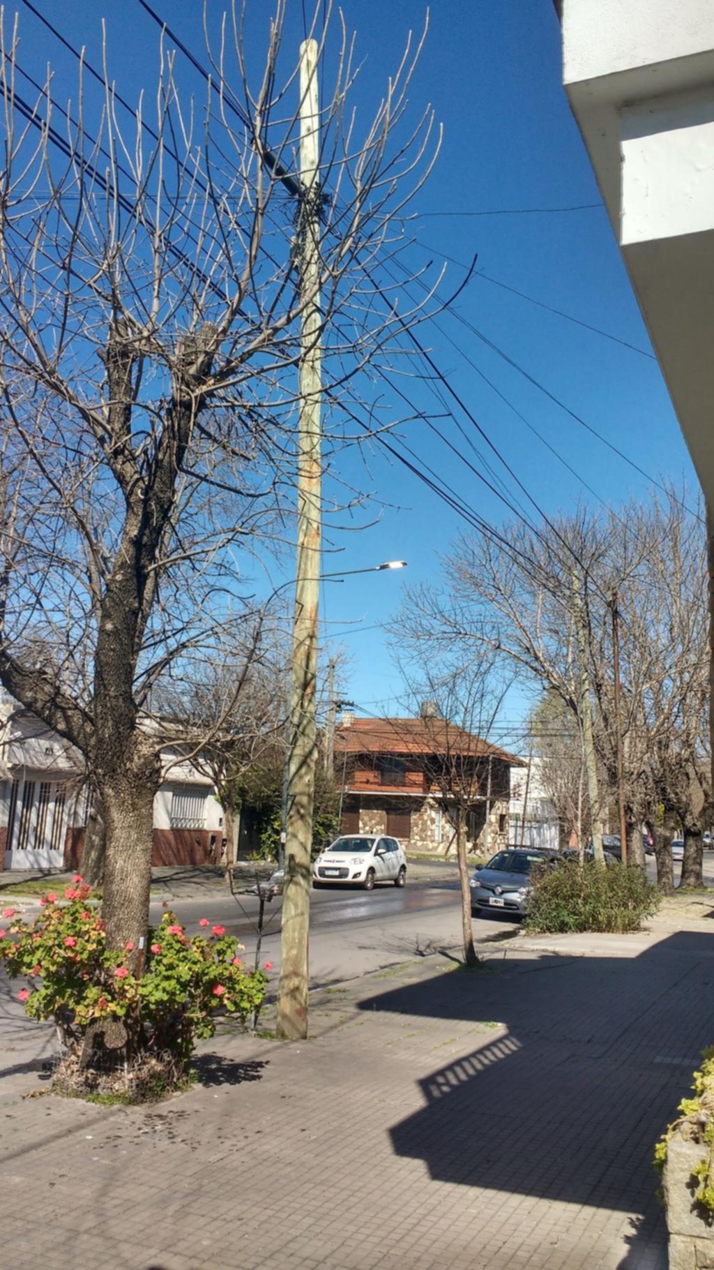 Piden podar un árbol que toca los tendidos en 45 y 28