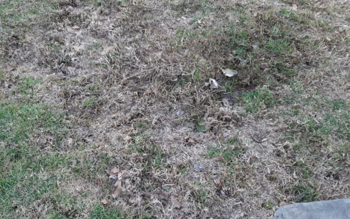 Una "trampa" en el piso en Gonnet: ya se accidentaron varios vecinos