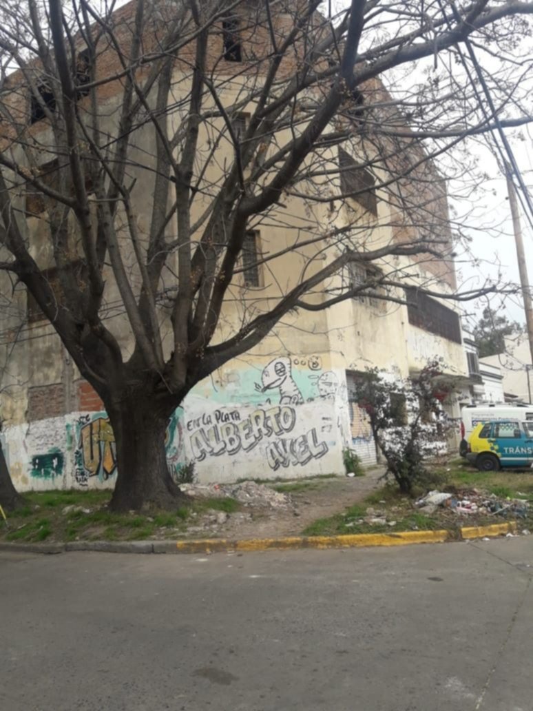 Reclamos en 72 y 121 por enorme árbol y acumulación de basura