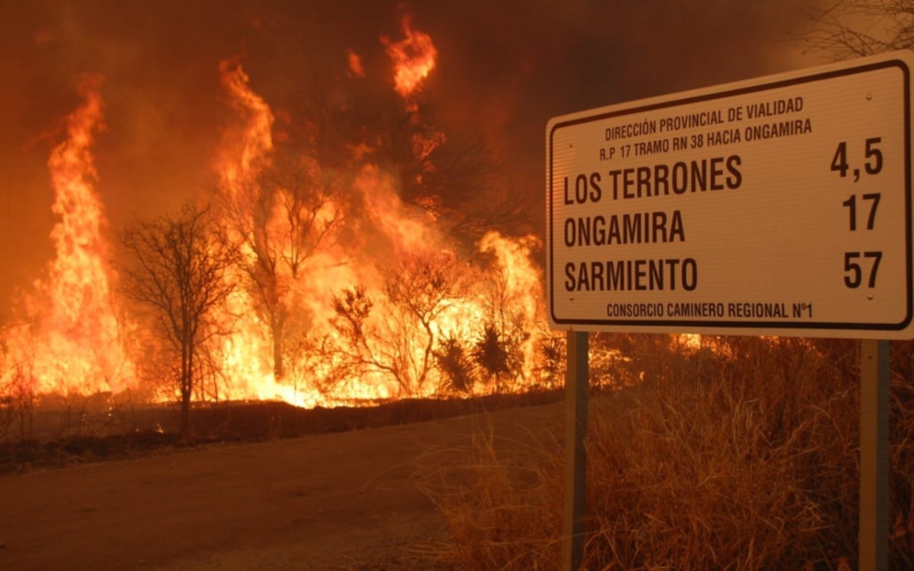 Nalbandian: “Tomemos conciencia del desastre ambiental que está sucediendo en Córdoba"