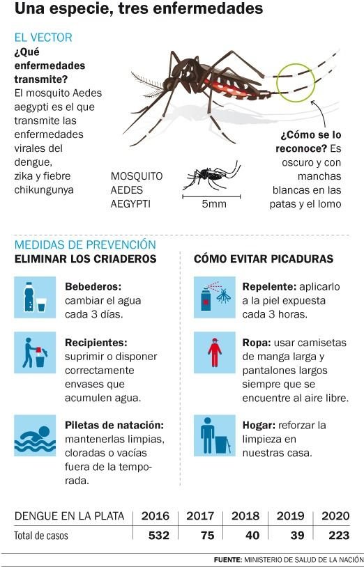 Dengue: la Ciudad suma 223 casos y el país superó el récord histórico