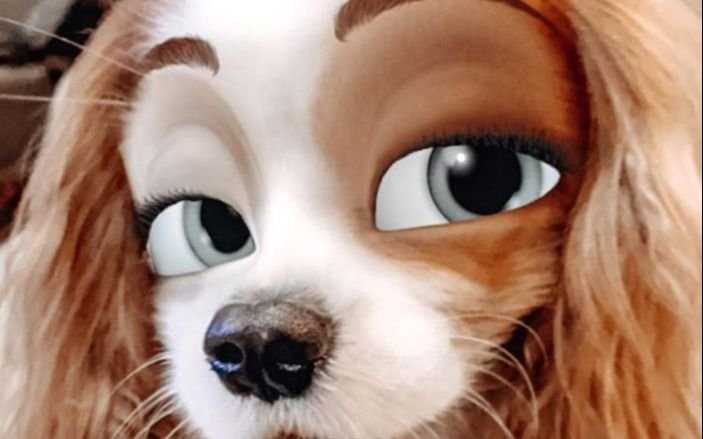 Cómo convertir tu mascota en un personaje de Disney: lo logró Snapchat 
