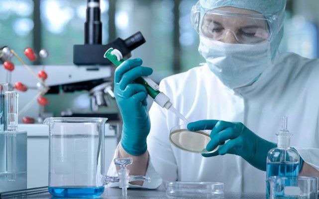¿Una molécula usada en lácteos inhibe al coronavirus?