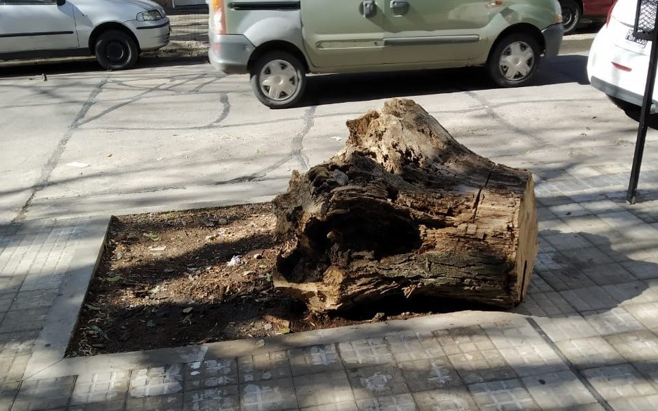En zona de Plaza Malvinas los vecinos piden por el retiro de un tronco