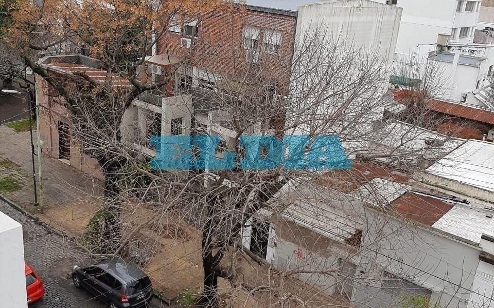 Hartazgo vecinal por la falta de poda de un árbol: “4 años de reclamos y nada”