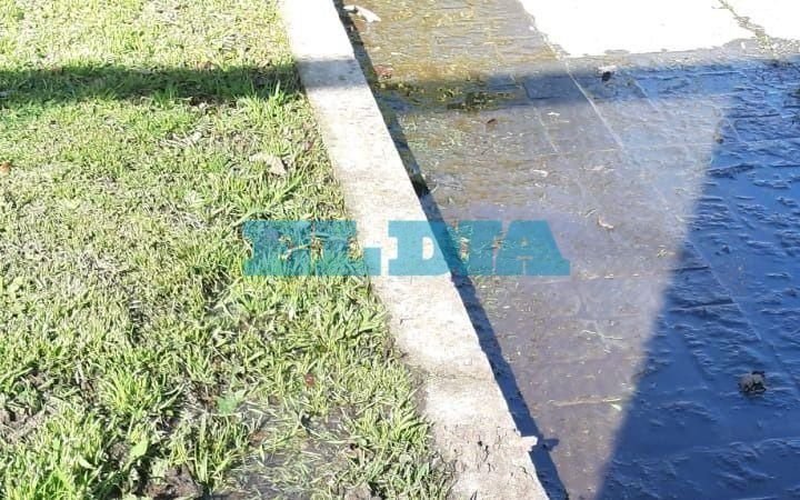 Gonnet: Denuncian que una pérdida de agua genera baja presión y levanta baldosas